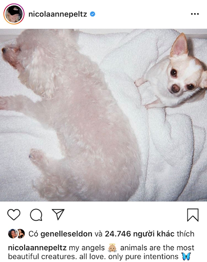Ái nữ của tỷ phú Mỹ đã khiến Brooklyn Beckham say đắm, quyết tâm cưới bằng được là ai? ảnh 4