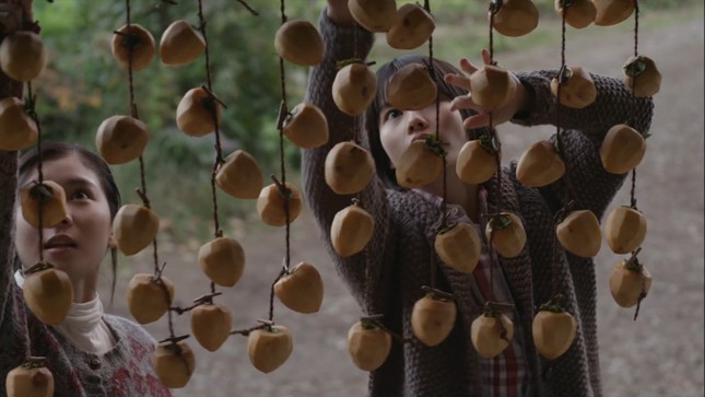 “Little Forest”: Bộ phim về những món ăn ngon và thông điệp chúng cất giấu của Ichiko ảnh 10