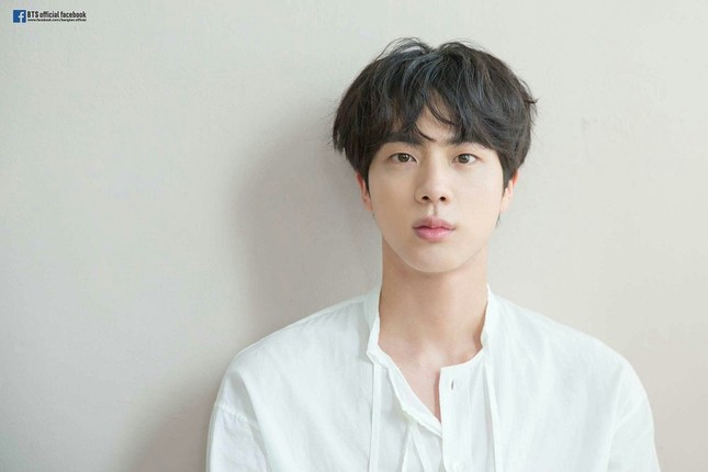 Trong thế giới fangirl: Jin trong lòng tôi đẹp đẽ và kiêu hãnh, tựa một đóa hoa ly ảnh 1