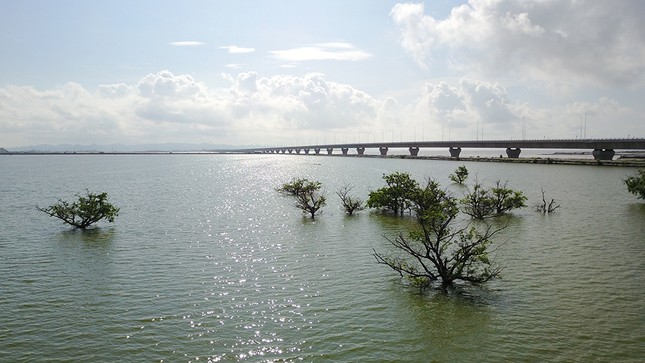 Cây cầu vượt biển dài nhất Việt Nam bị kiểm toán chỉ ra nhiều sai sót ảnh 1