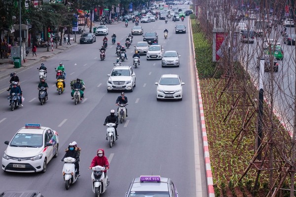 Hàng cây phong lá đỏ nảy lộc đón Tết giữa đường phố Thủ đô ảnh 8