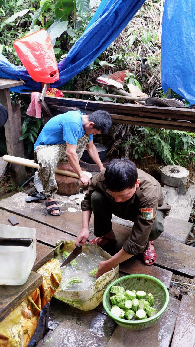 Cắm quân giữ rừng, ngăn 'vàng tặc' trở lại vườn quốc gia Sông Thanh ảnh 19
