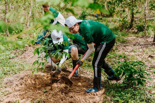 Nestlé Việt Nam trồng rừng góp phần giảm tác động biến đổi khí hậu ảnh 4