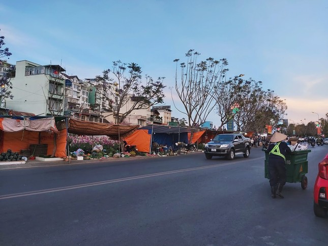 Dẫu mai anh đào đang mùa nở rộ, Đà Lạt những ngày cuối năm vẫn vắng lặng lạ thường ảnh 1