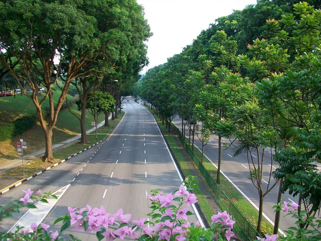 Cuộc sống là tiến về phía trước, nhưng sự thấu hiểu lại nằm ở những điều đã qua ảnh 1