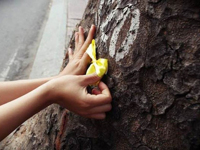 Cuộc sống là tiến về phía trước, nhưng sự thấu hiểu lại nằm ở những điều đã qua ảnh 2