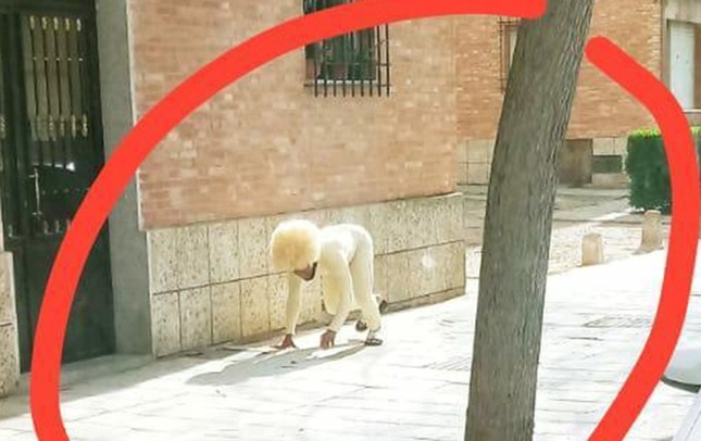 “Tuần lễ thời trang Cô-vy 2020”: Ngàn kiểu ra đường mùa dịch không thể “lồng lộn” hơn ảnh 6