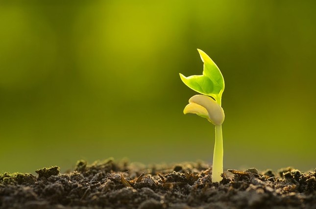 Dù mệt mỏi và chán nản đến đâu, chúng ta vẫn cần biết ơn những khó khăn ảnh 3