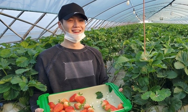Sao Hàn 24H: SUGA (BTS) thảnh thơi đi hái dâu, Jessica thành đại sứ toàn cầu ảnh 1