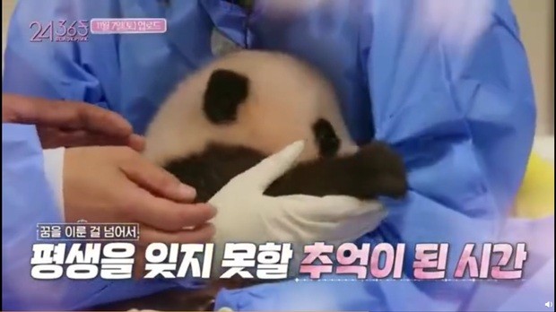 Jennie đúng là “thánh nhọ” mới của K-Pop: Bị ném đá dữ dội vì chính giấc mơ của mình ảnh 3