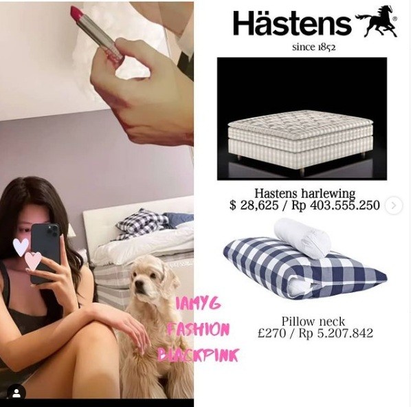 Bóc giá đồ nội thất nhà Jennie: Món nào cũng sang xịn mịn, đến đồ chơi cũng tới cả tỷ đồng ảnh 1