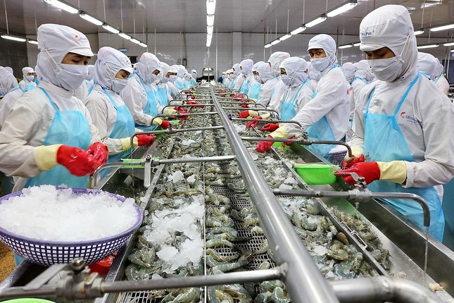 Xuất khẩu nông lâm thuỷ sản đạt kỷ lục trên 41 tỷ USD ảnh 2