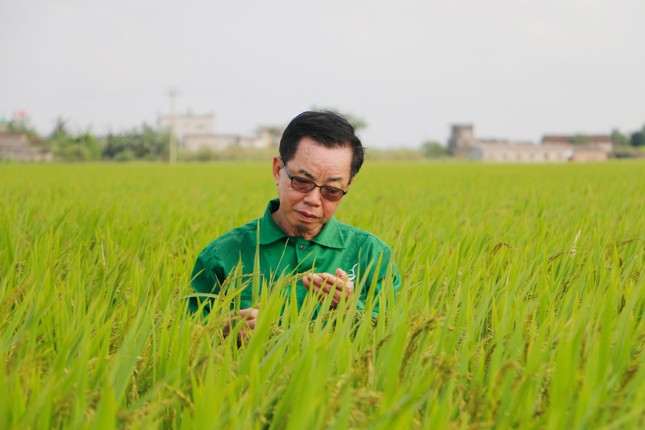 ThaiBinh Seed với 50 năm tự hào và đồng hành với người nông dân mới ảnh 3