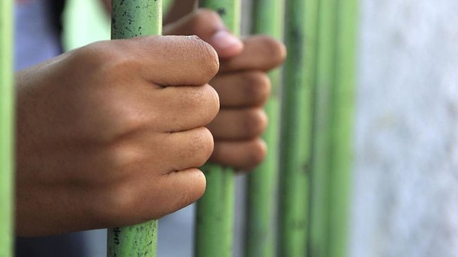 Trùm mafia dạy luật nhà tù cho... luật sư ảnh 1