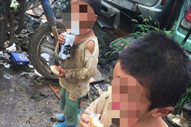 Xót xa 2 bé bị bỏ rơi sống trong cũi cùng chó ảnh 1