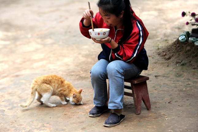 Con quỳ lạy cha mẹ trước khi đi học làm lay động dân mạng ảnh 4