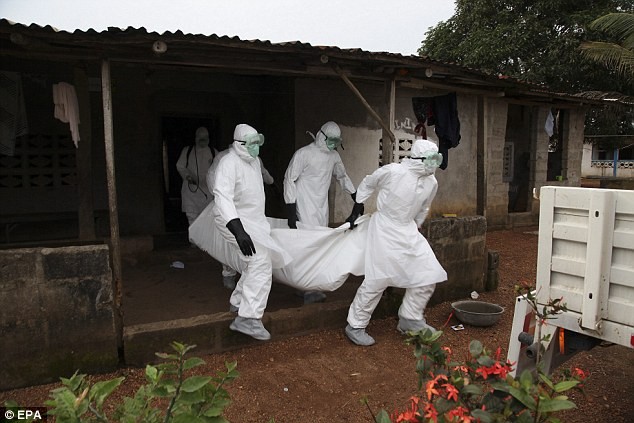 Những hình ảnh đau lòng về dịch bệnh khủng khiếp Ebola ảnh 14