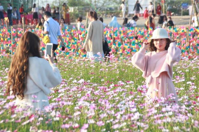 Vườn hoa hướng dương 'khổng lồ' ở Quảng Ngãi hút khách ngày cận Tết ảnh 16
