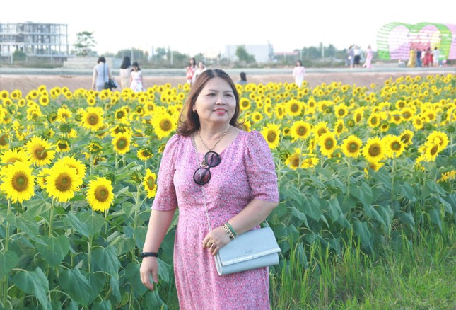 Vườn hoa hướng dương 'khổng lồ' ở Quảng Ngãi hút khách ngày cận Tết ảnh 15