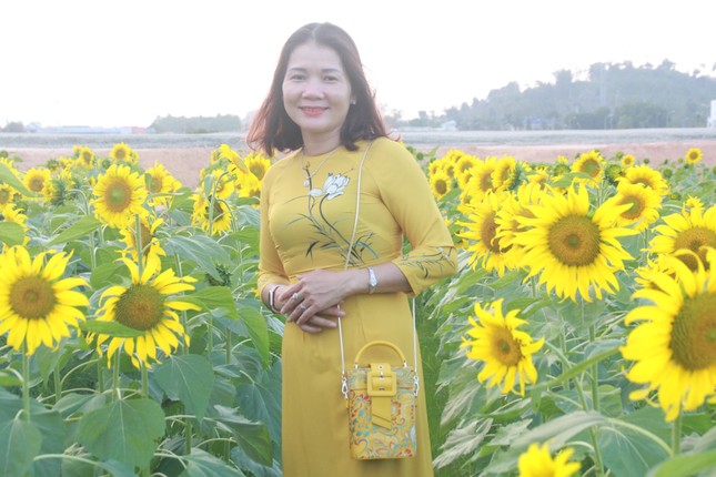 Vườn hoa hướng dương 'khổng lồ' ở Quảng Ngãi hút khách ngày cận Tết ảnh 14