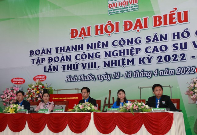 Anh Trần Quốc Bình tái đắc cử Bí thư Đoàn Tập đoàn Công nghiệp Cao su Việt Nam ảnh 1
