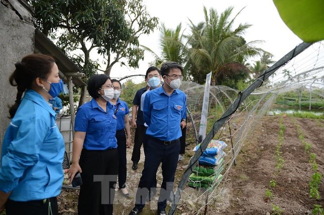 Tuổi trẻ Hải Phòng ra quân hưởng ứng Chủ nhật xanh ảnh 4