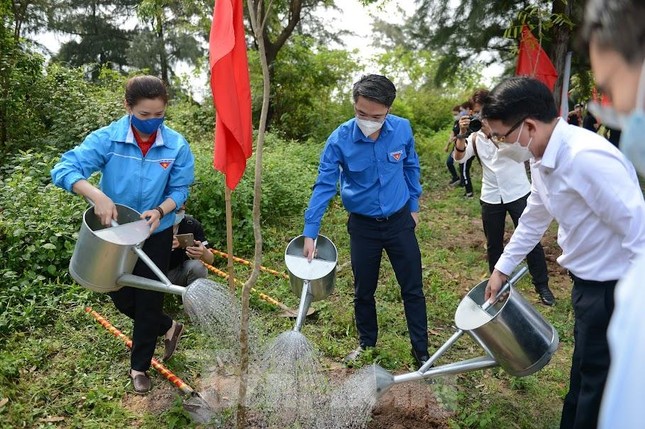 Tuổi trẻ Hải Phòng ra quân hưởng ứng Chủ nhật xanh ảnh 2