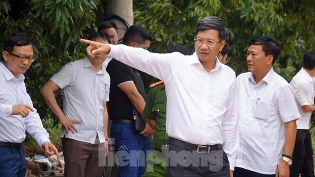 Cận cảnh khu biệt thự, lâu đài mọc 'như nấm' trên đất nông trường ở Hải Phòng ảnh 12
