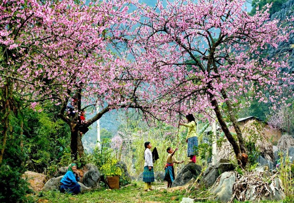 5 hành trình du lịch lý tưởng cho ngày giao mùa Đông – Xuân ảnh 1