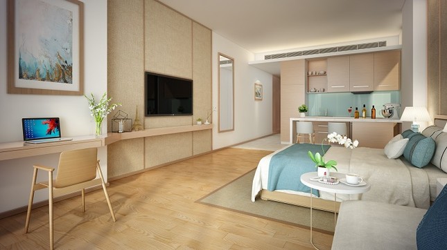 Condotel TMS Đà Nẵng: Cú hích thị trường BĐS nghỉ dưỡng cuối năm ảnh 2