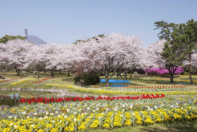 Kinh nghiệm du lịch Kyushu hữu ích cho mọi người ảnh 1
