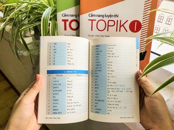 Review bộ sách Cẩm nang luyện thi TOPIK của cô Châu Thùy Trang ảnh 3
