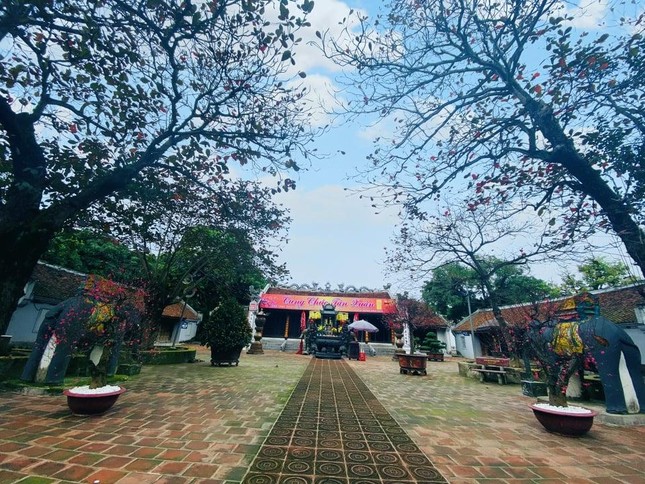 Nam Định đóng cửa đền Trần Rằm tháng Giêng, không tổ chức lễ khai ấn ảnh 4