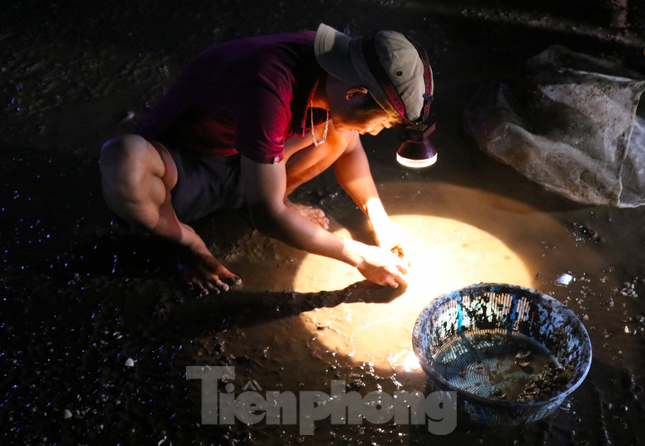 Ngao chết trắng bãi, chủ đầm trắng đêm đi nhặt vỏ ngao chết, cứu ngao sống ảnh 4