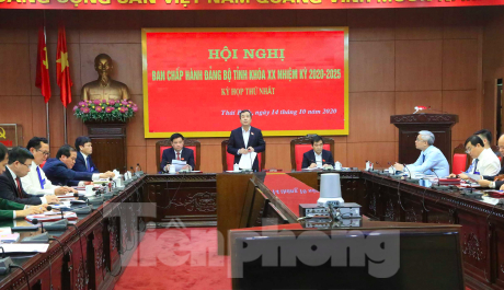 Ông Ngô Đông Hải tái đắc cử Bí thư Tỉnh ủy Thái Bình ảnh 3