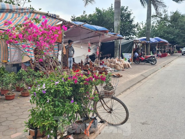Lần đầu tiên đền Trần vắng nhất trong hơn 30 năm qua, phát ấn theo cách đặc biệt ảnh 9