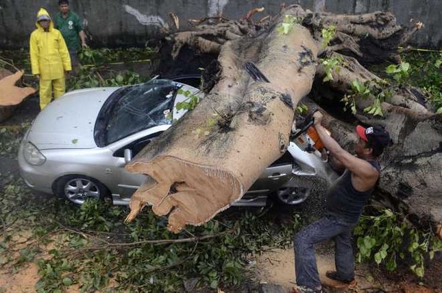Ảnh: Philippines tan hoang vì bão Thần Sấm ảnh 7