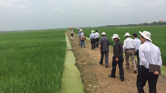 Việt Nam có trung tâm nghiên cứu lúa lai hiện đại ảnh 1