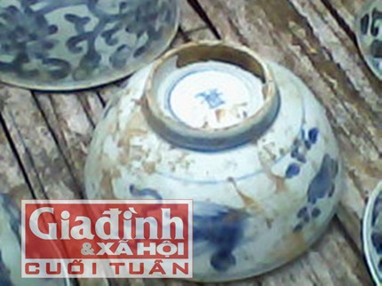 Đi bẫy chuột, gặp kho báu của người cổ trong rừng ảnh 2