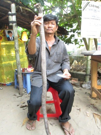 Đi chơi công viên tiện thể bắt rắn bán, bị cắn chết ảnh 1