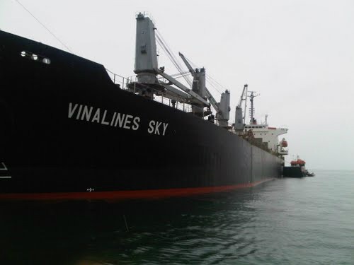 Vinalines chính thức thua vụ kiện 3 triệu USD ảnh 1