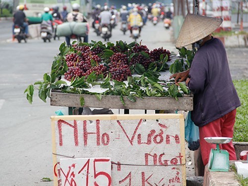 Những hoa quả Việt chịu án oan vì hàng Trung Quốc ảnh 4