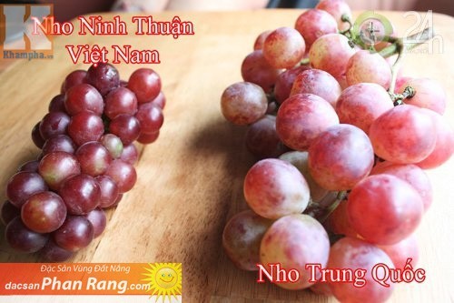 Những hoa quả Việt chịu án oan vì hàng Trung Quốc ảnh 5