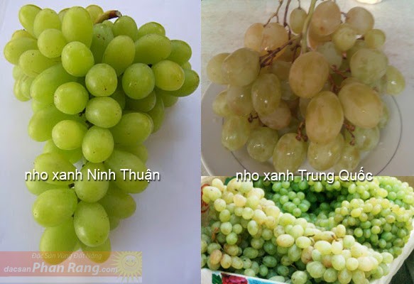 Những hoa quả Việt chịu án oan vì hàng Trung Quốc ảnh 6