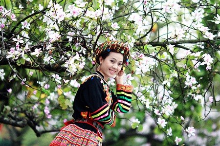 Ngẩn ngơ trước những loài hoa tuyệt đẹp vùng Tây Bắc ảnh 2