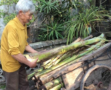 Loạn thị trường gà Đông Tảo dịp Tết ảnh 3