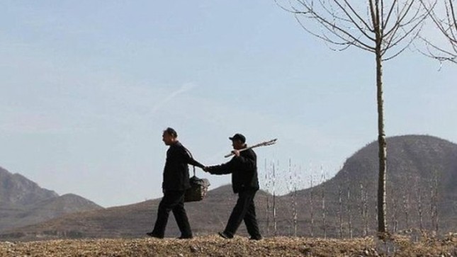 Khâm phục, 'cặp đôi' khuyết tật trồng hơn 10.000 cây xanh ảnh 1