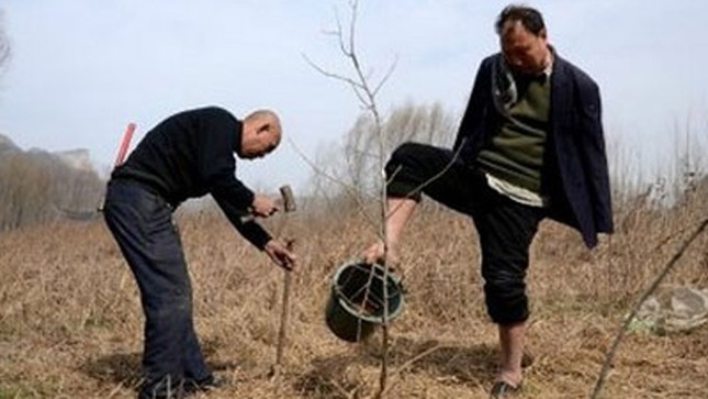 Khâm phục, 'cặp đôi' khuyết tật trồng hơn 10.000 cây xanh ảnh 2