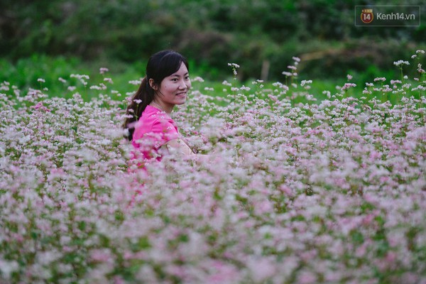 'Tôi đã thấy hoa tam giác mạch ở Hà Giang đẹp tuyệt vời' ảnh 10