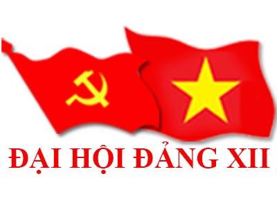 Infographic 200 ủy viên BCH Trung ương Đảng khóa XII ảnh 182
